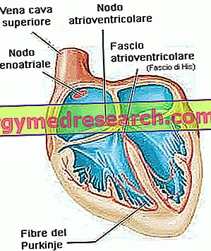 sinusinė aritmija hipertenzija