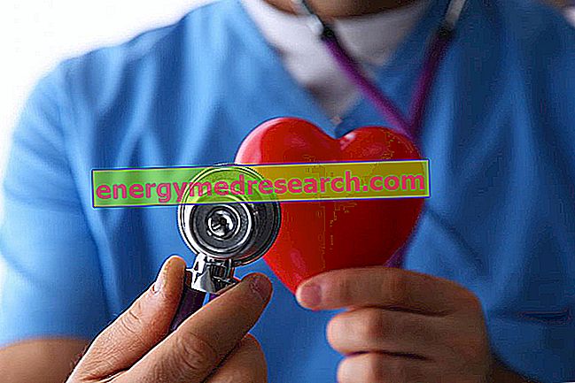 ¿Quién es el cardiólogo?