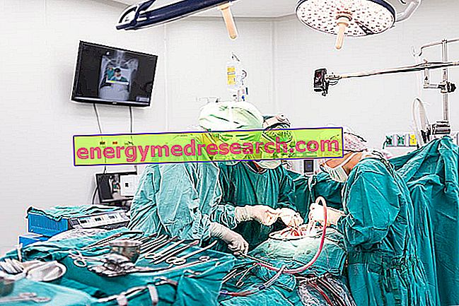 Transplantation cardiaque en mode "organe vivant"