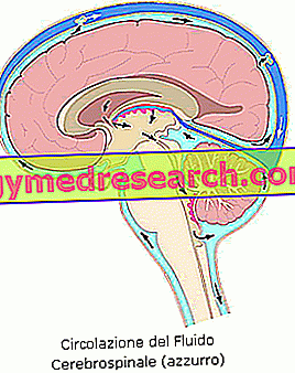 hipertenzija su smegenų sukrėtimu)