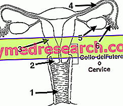 Endometrisk tumor