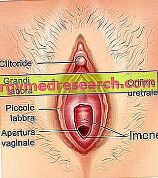 cum este penetrarea penisului