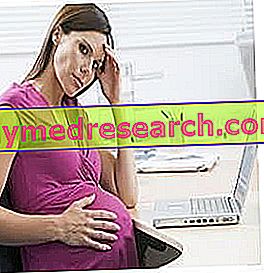 Leucoreea gravidică