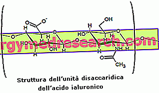 Hyaluronsyratillskott