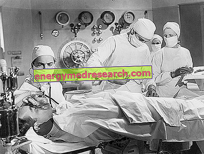 Njurtransplantation: Processens historia