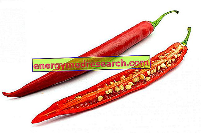 Hot pepper spicyness - Mitä se riippuu?