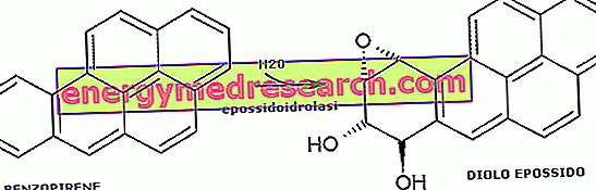 هيدروكربونات عطرية متعددة الحلقات