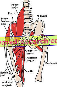 Verhindern Sie Verletzungen der Muskeln des inneren Schenkels
