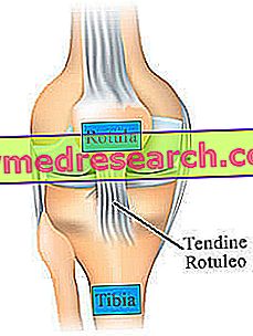 Boala articulației genunchiului lui Schlatter Tratamentul articular Sunna