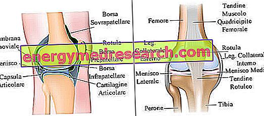 durere a suprafeței mediale a genunchiului)