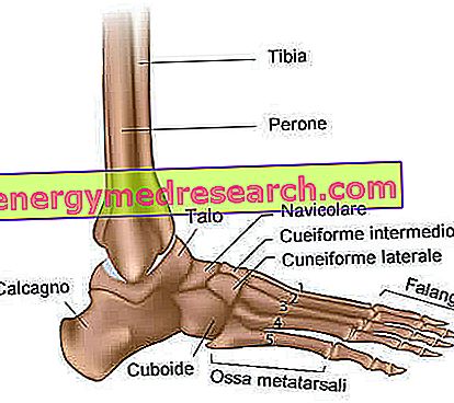 durere chiar sub articulația gleznei unguente antiinflamatoare pentru articulațiile genunchiului