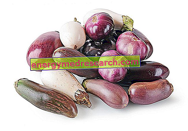 Types of Eggplant