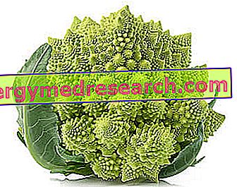 Brokoli Romano: Beslenme Özellikleri, Diyetteki Rol ve R.Borgacci